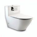 Hangtoilet met zacht sluitende deksel en wandmontage in wit 80 x 40 x 35cm