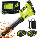 Trimmex Accu Bladblazer 20V – blazer - luchtsnelheid 260 km/u - extra krachtige 2x 4.0Ah accu - Groen(201)